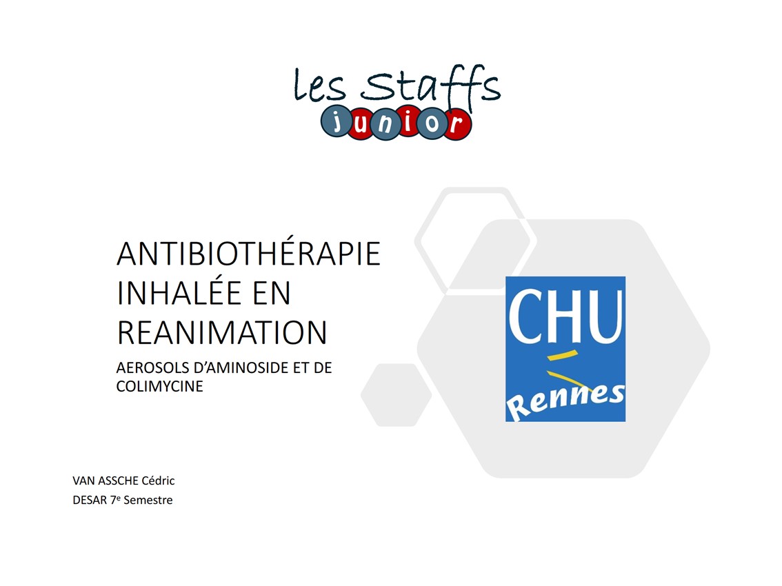 Antibiothérapie inhalée réanimation